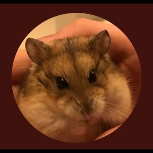 Meet your Posher, Amy